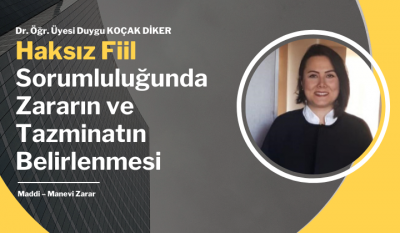 Haksız Fiil Sorumluluğunda Zararın ve Tazminatın Belirlenmesi Video Eğ